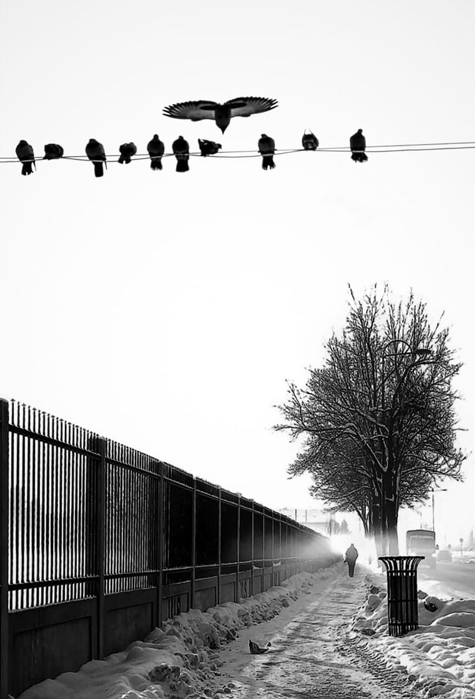 Photograph by Abdullah Ibradzic