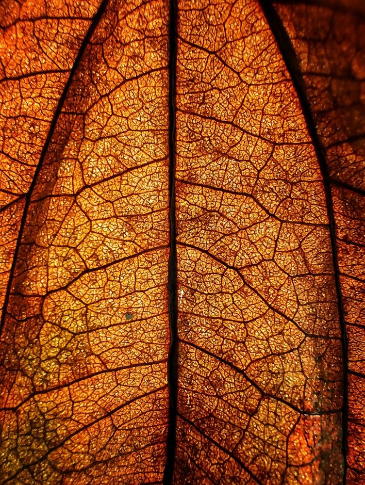 Фотография автора PRADIPTAMOY PAUL