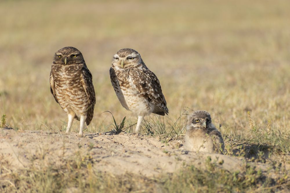 Photograph by Mauro Gauna
