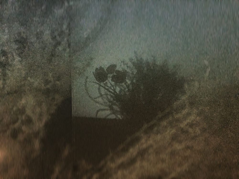 Photograph by Мария Фомичева