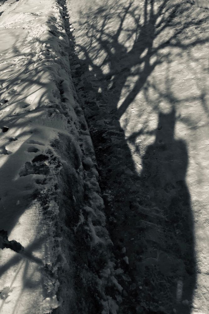 Photograph by Мария Фомичева