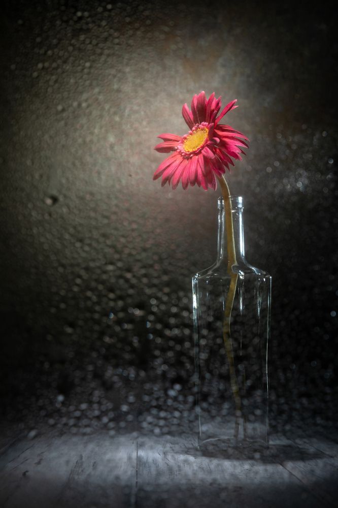 Фотография автора Герц Дмитрий