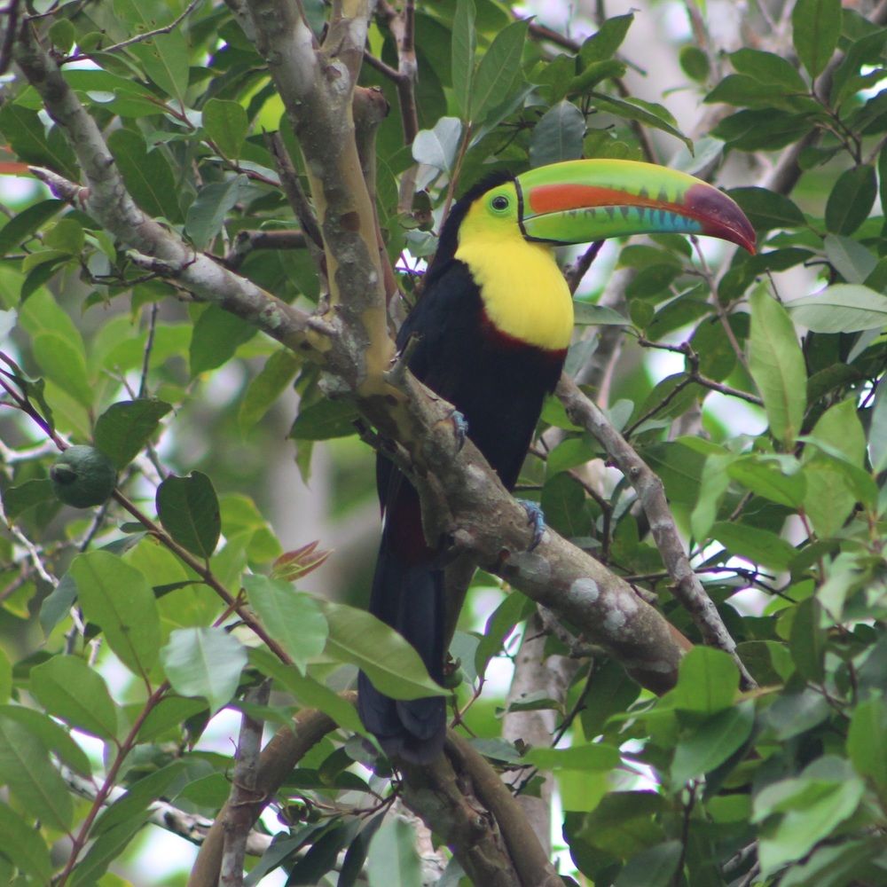 Photograph by Jesu Guevara hernandez