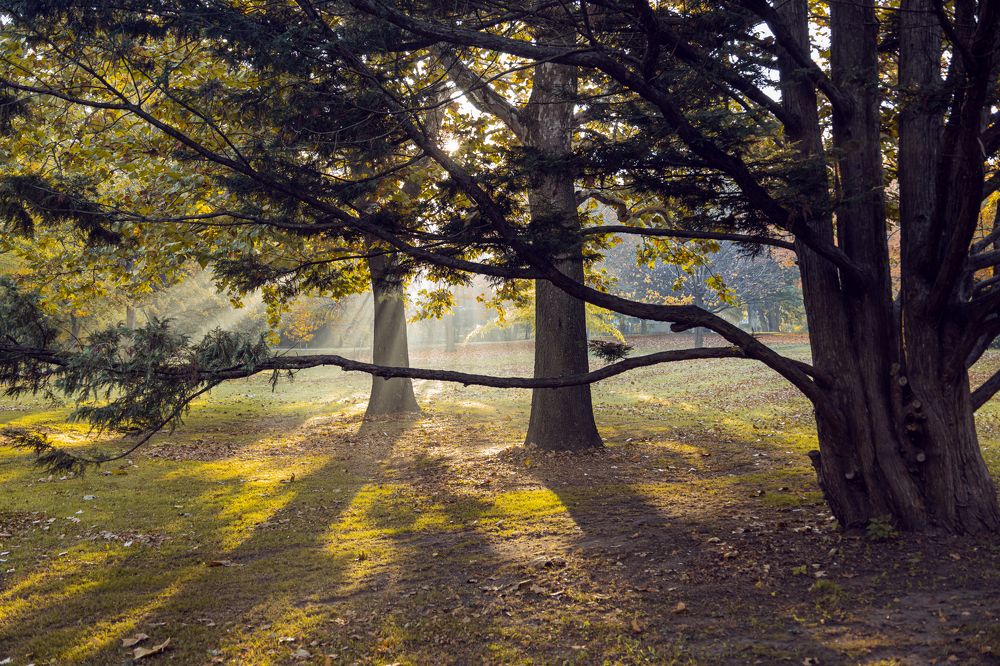 Photograph by Ksenia Kouri