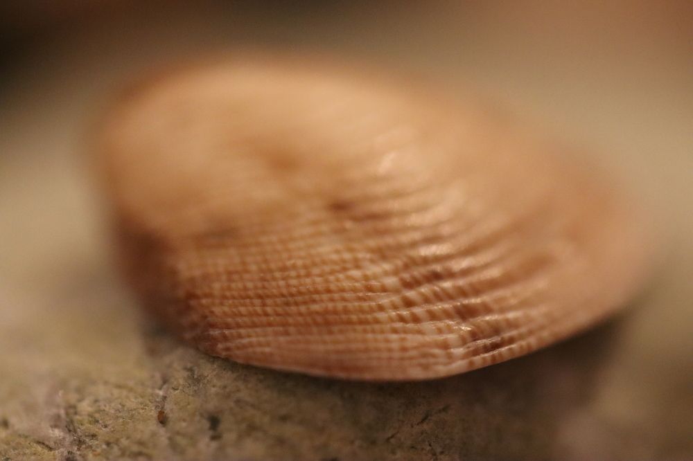 Photograph by Lina Tomkevičienė