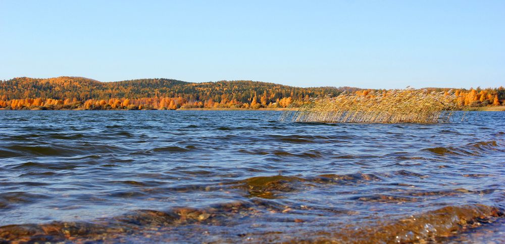 Photograph by Владимир Полотов