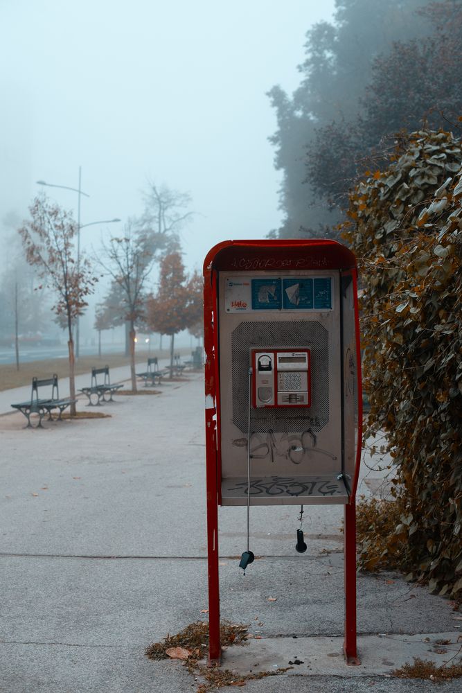 Photograph by Анна Чеснокова