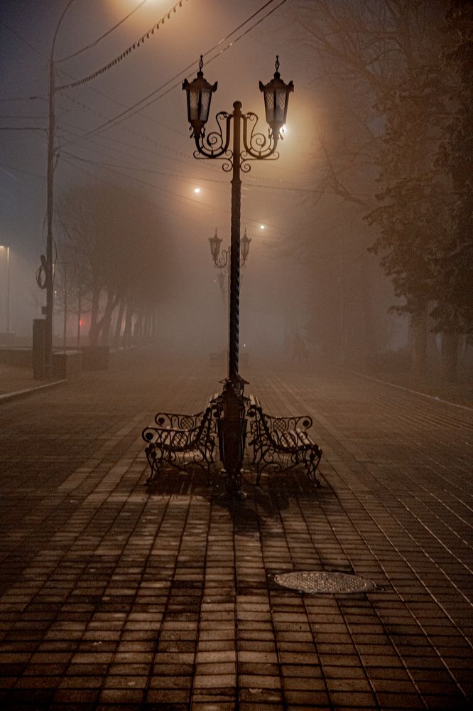 Photo #8443550