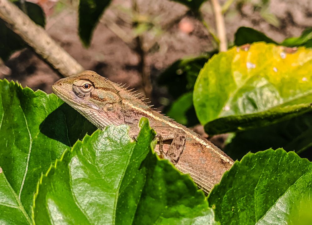 Photograph by Abhipratim Manna