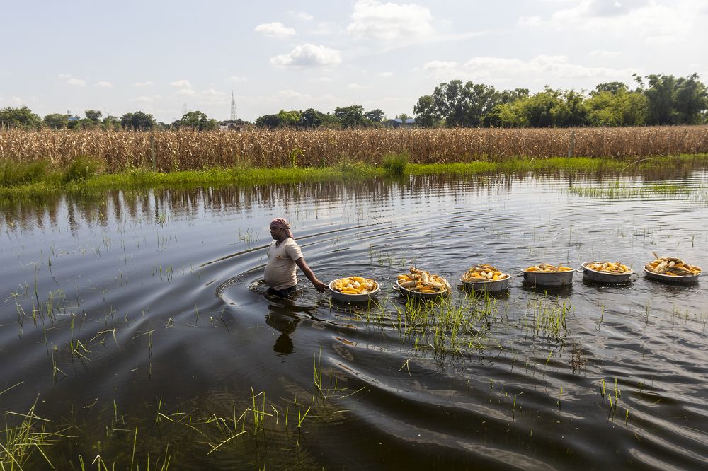 Photograph by Raju Das