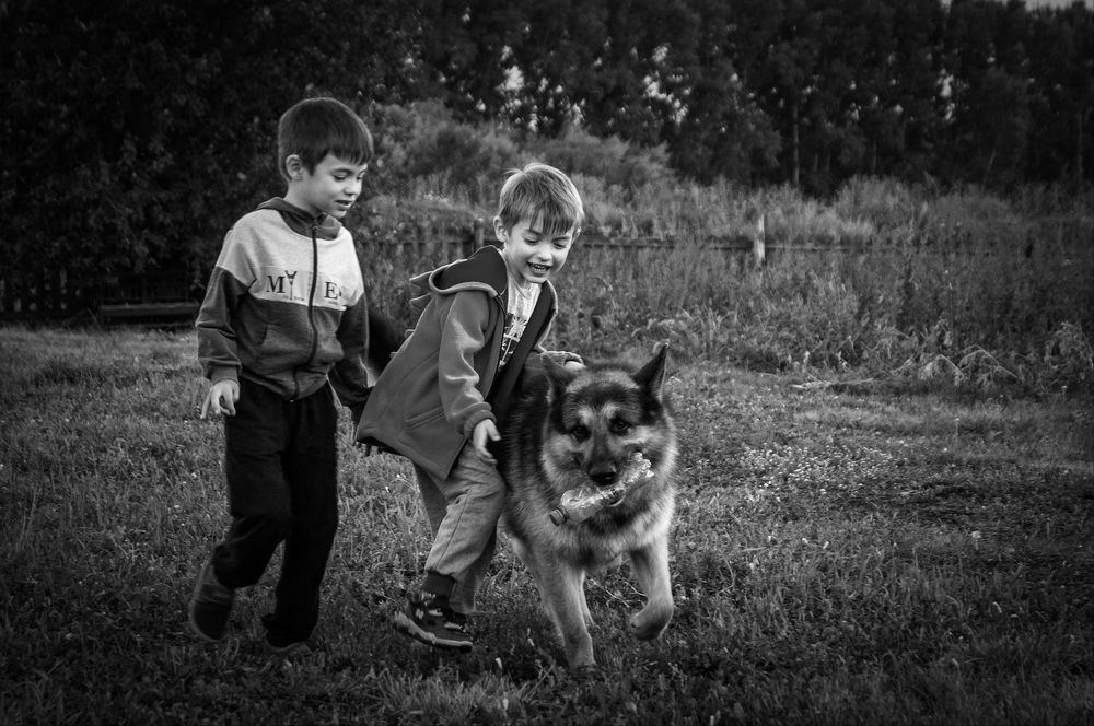 Photograph by Николай Мокшин