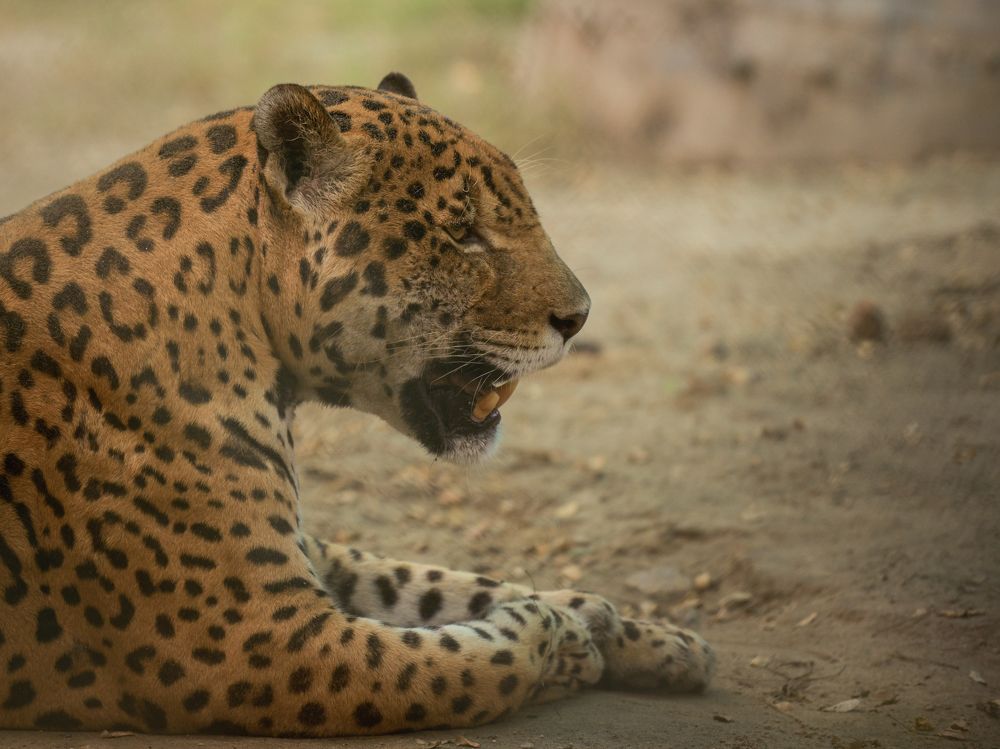 Photograph by Reyaansh Mittal