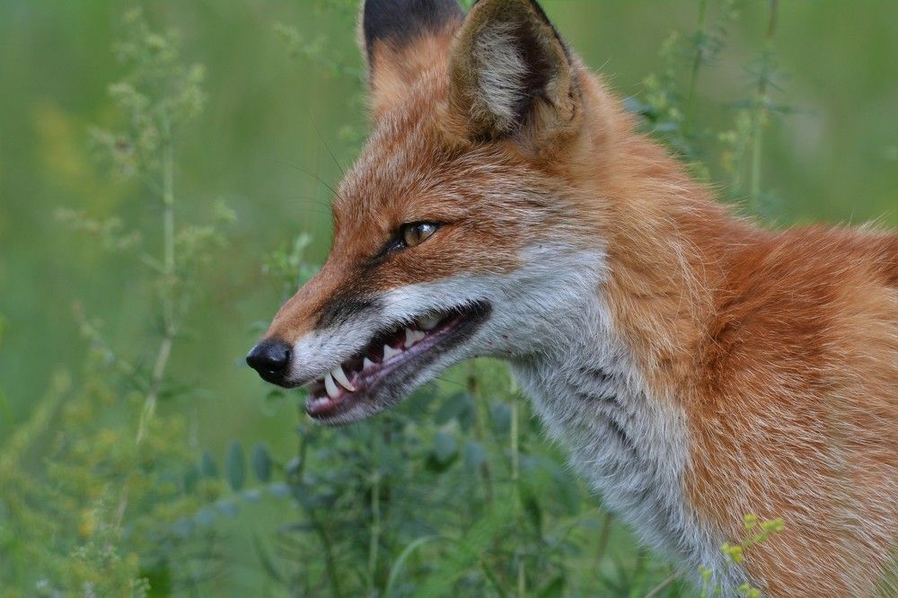 Photograph by Анатолий Каминский