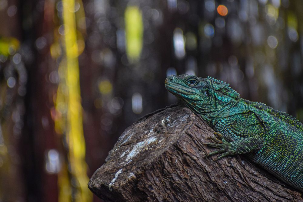 Photograph by Reyaansh Mittal