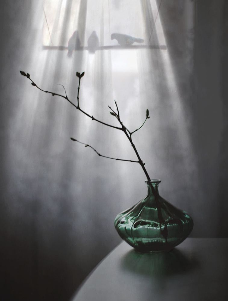 Photograph by Liliya Larkina