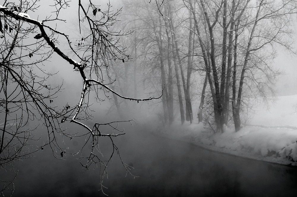 Фотография автора Любовь Харина