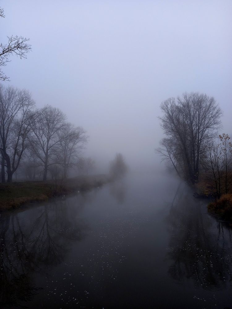 Фотография автора Любовь Харина