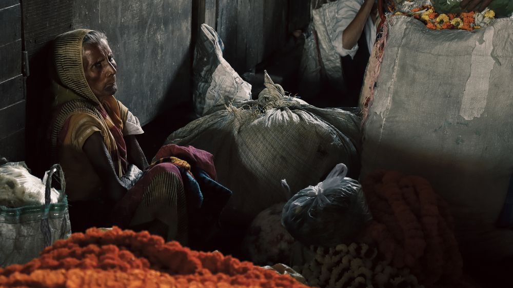 Фотография автора Subhadip Ghosh