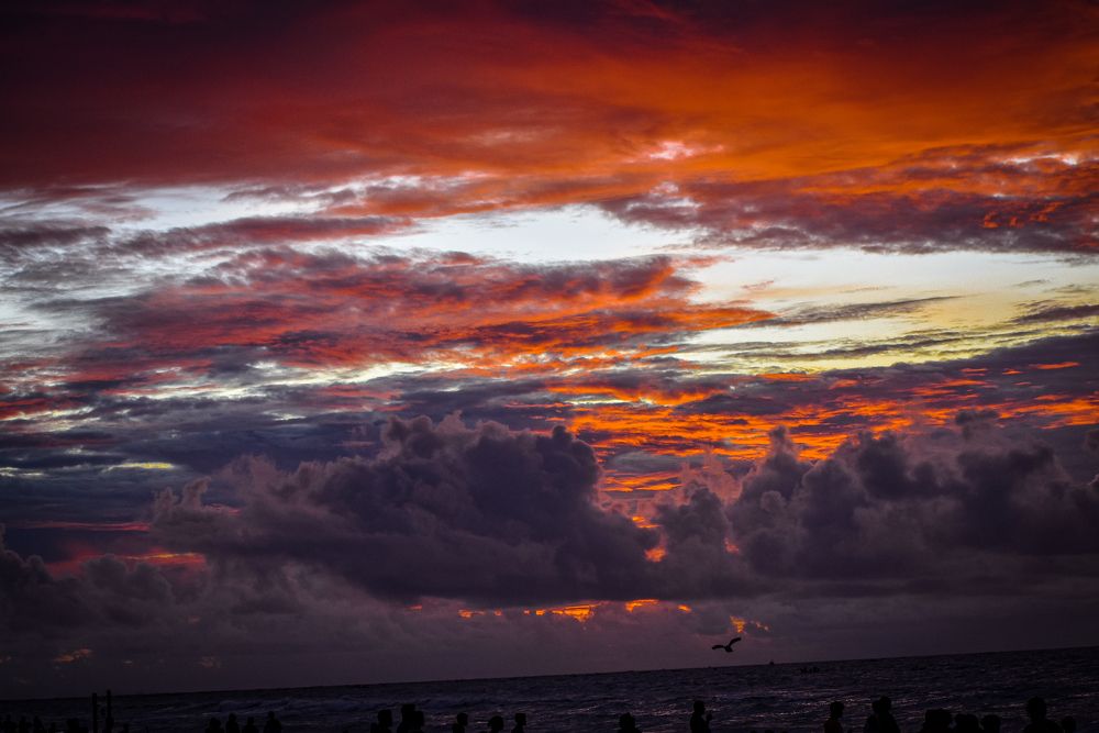 Фотография автора ANKIT GHOSH