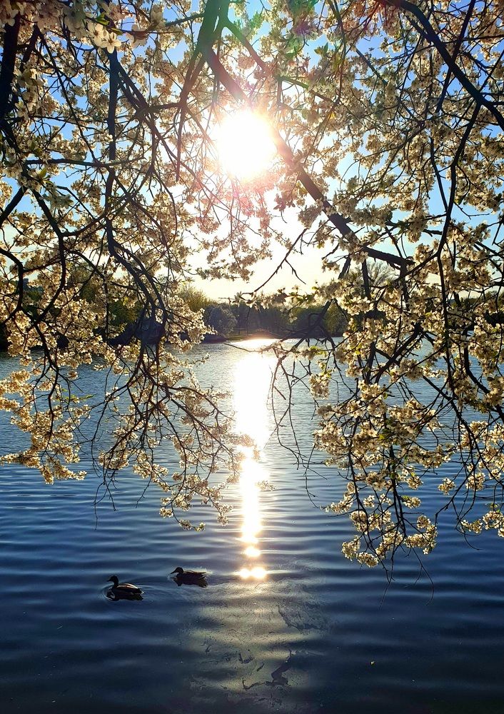 Photograph by Наталья Пагоцкая