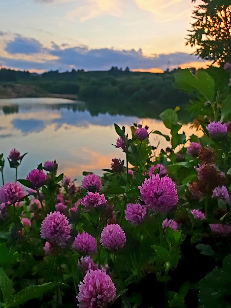 Photograph by Наталья Пагоцкая