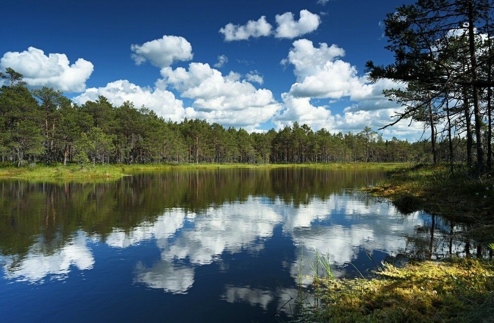 Photograph by IJA REIMAN