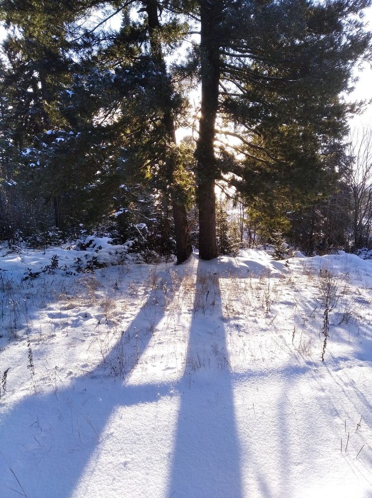 Photograph by Анатолий Майдуров