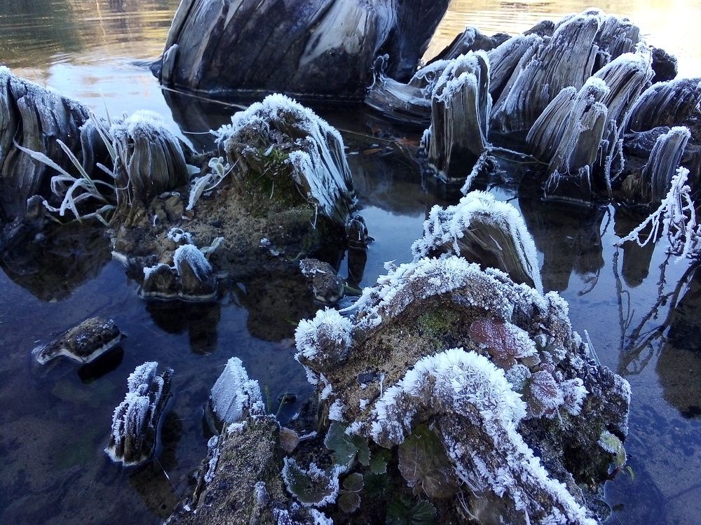 Photograph by Ирина Корнева