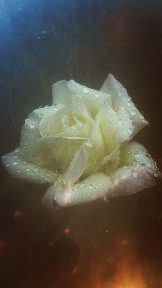 Photograph by Хачик Аджатян