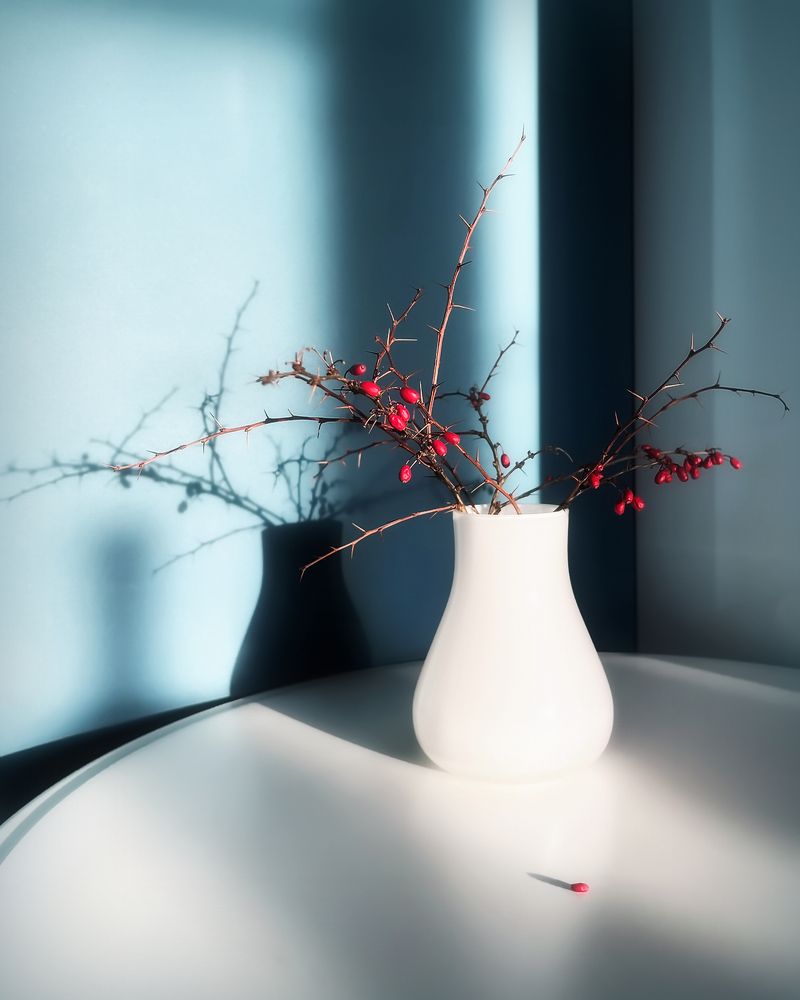 Photograph by Людмила Ефремова