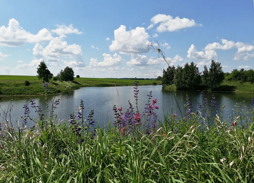 Photograph by Александра Зиновьева