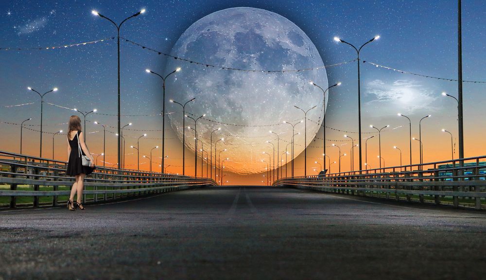 Фотография автора Анатолий Дауров