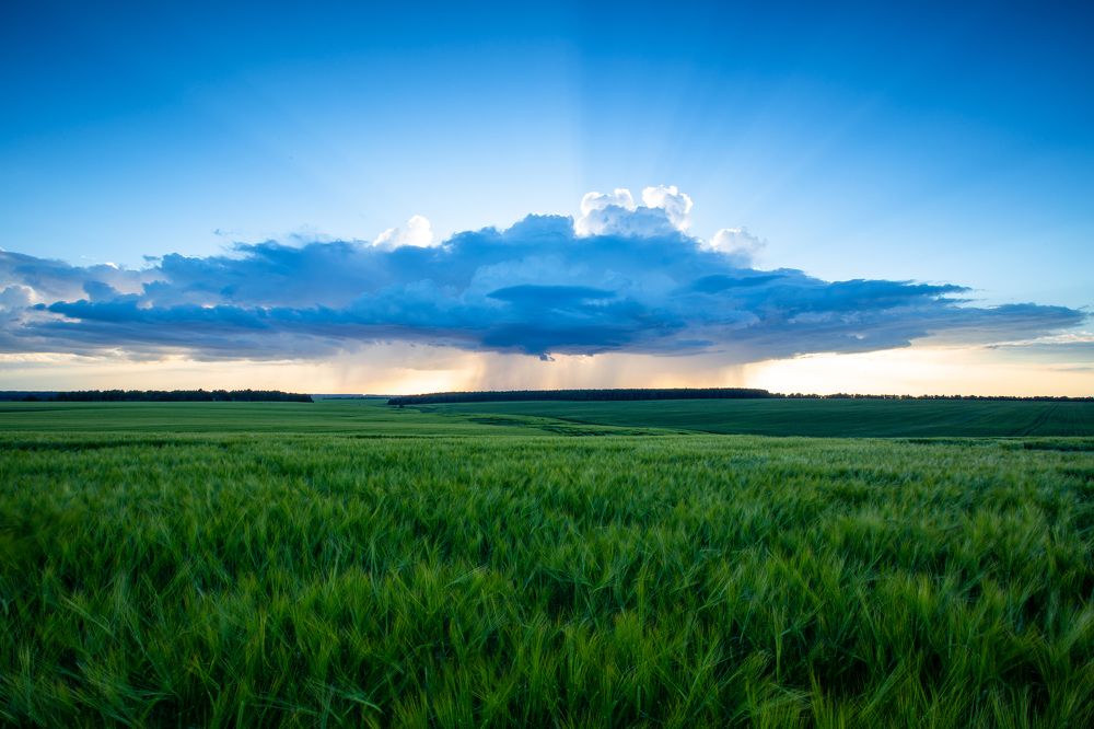 Photograph by Александр Кузнецов