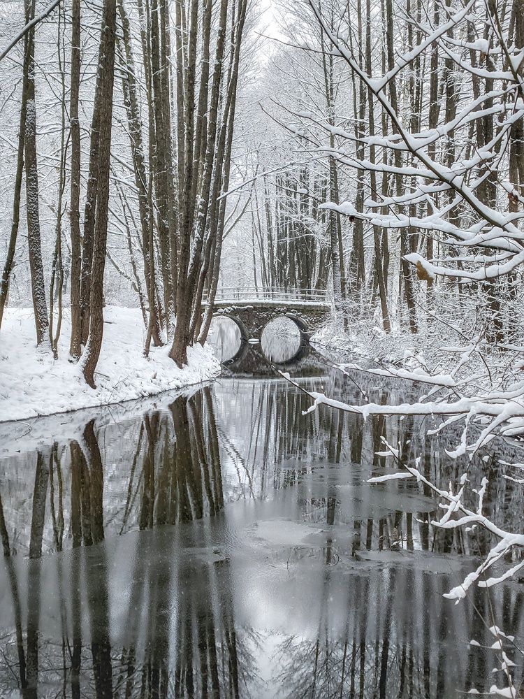 Photograph by Владимир Шаруба