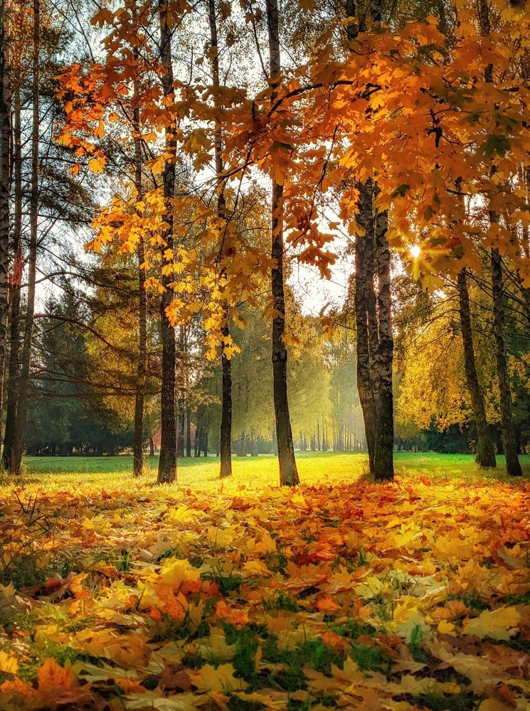 Photograph by Владимир Шаруба