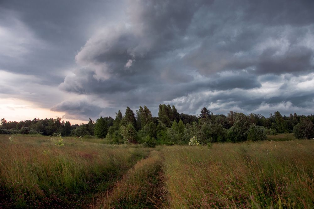 Гроза начинается