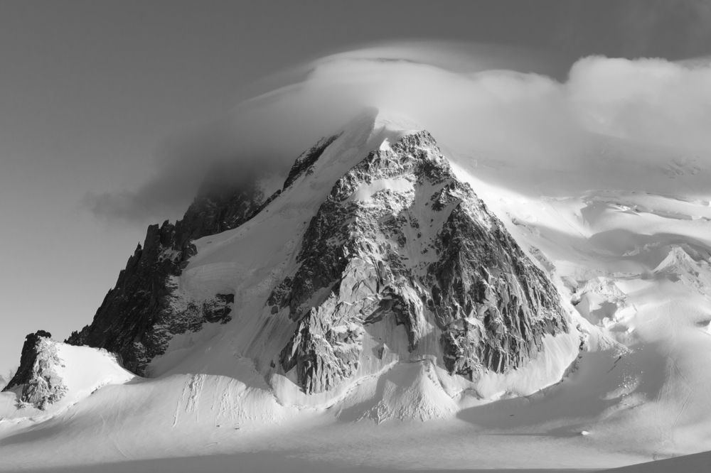 Photo #8444722