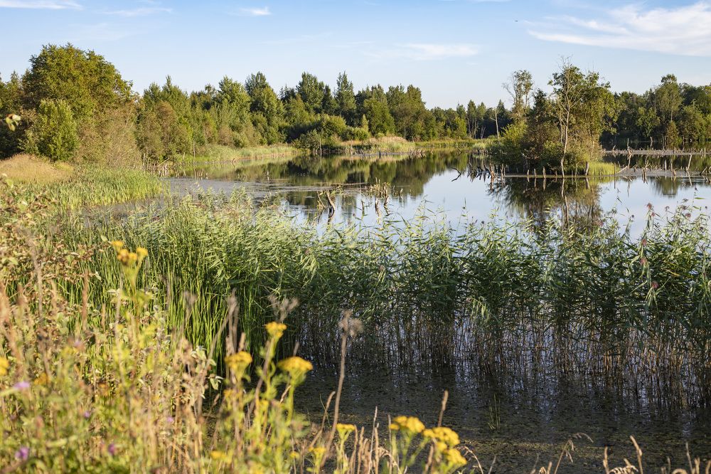 Фотография автора Татьяна Степанова