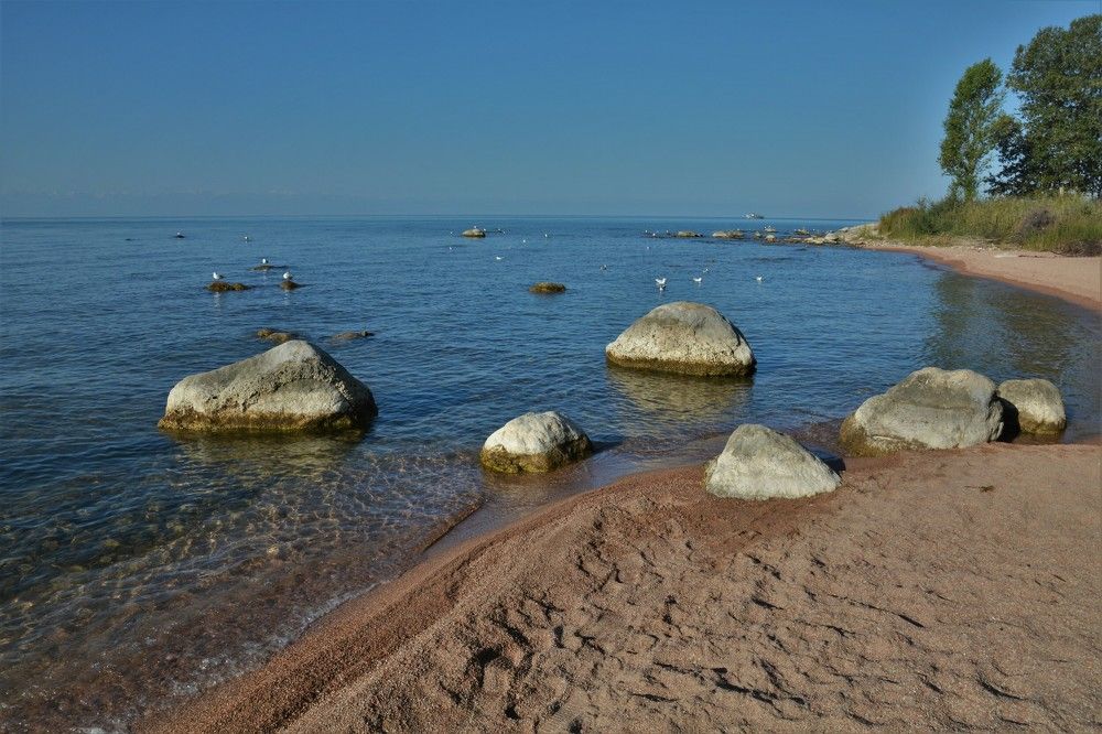 Photograph by Анатолий Каминский