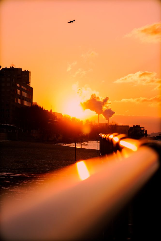 Photograph by Александр Носов