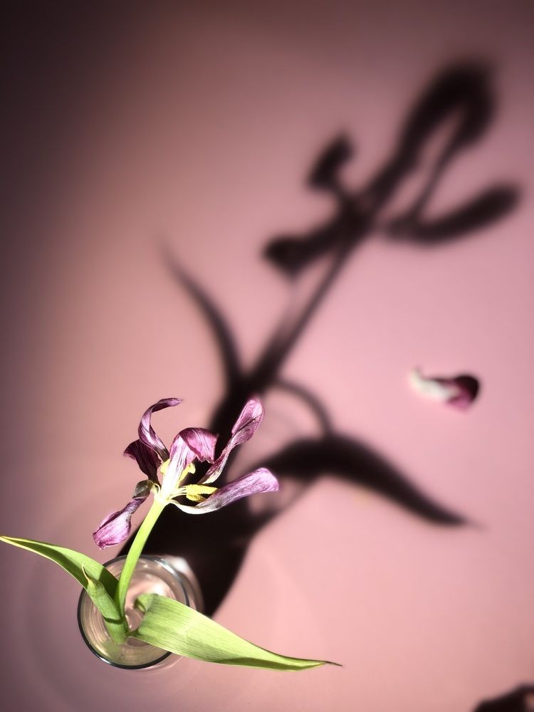 Photograph by Юлия Осипова