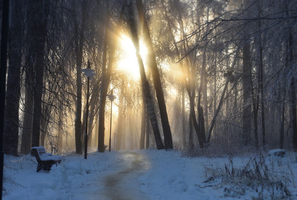 В зимнем парке.