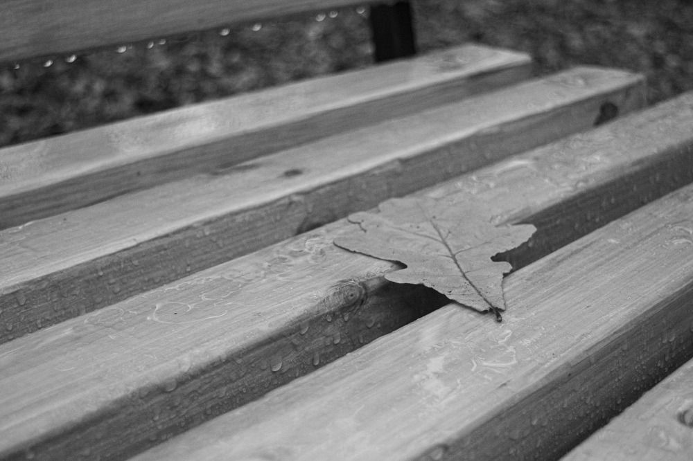 Photograph by Юлия Сомова