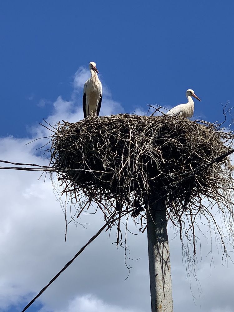 Photograph by Андрей Савицкий