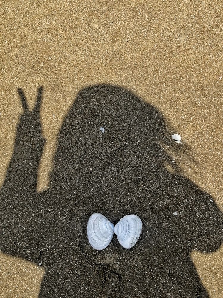 Фотография автора НАТАЛЬЯ СЕВЕР