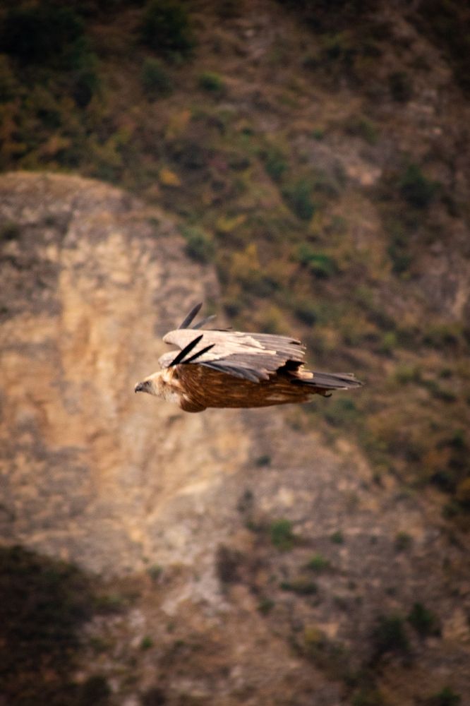 Photograph by Дамир Давронов