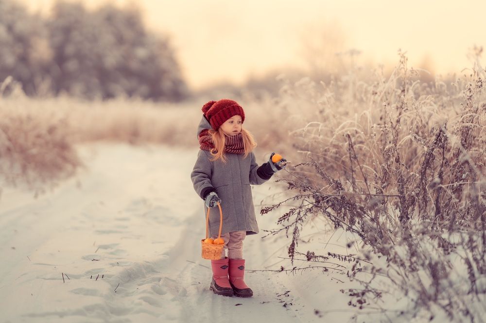 Photograph by Olesia Chepurchenko