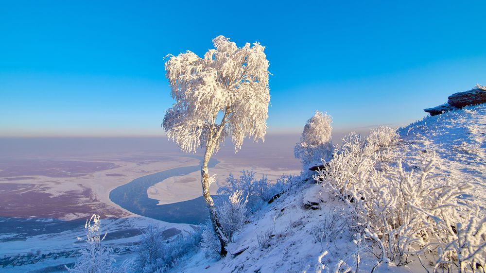 Мороз, солнце и туман...