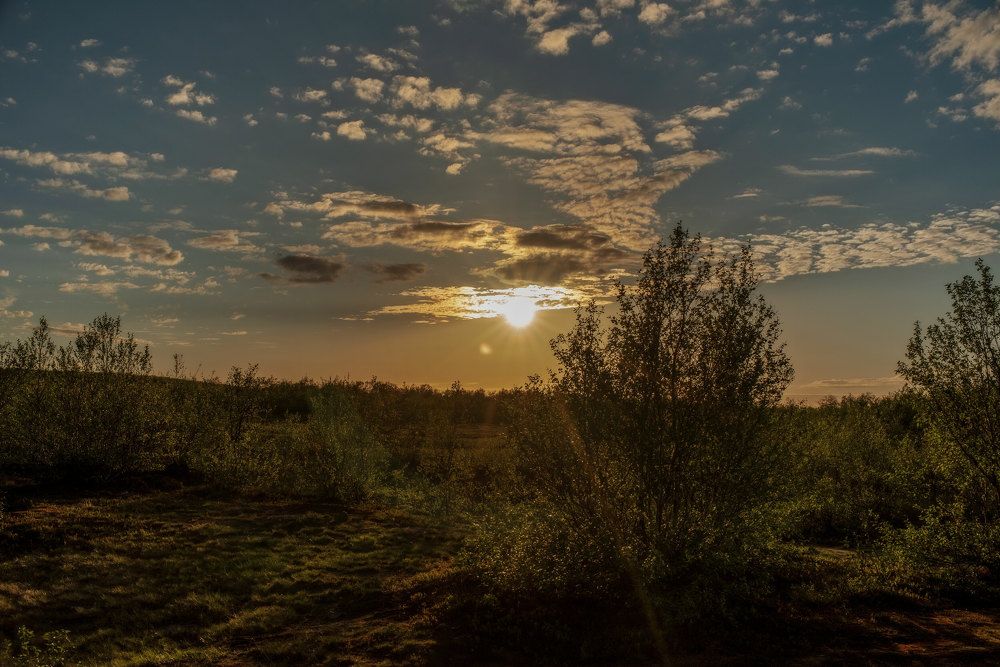 Полярный день