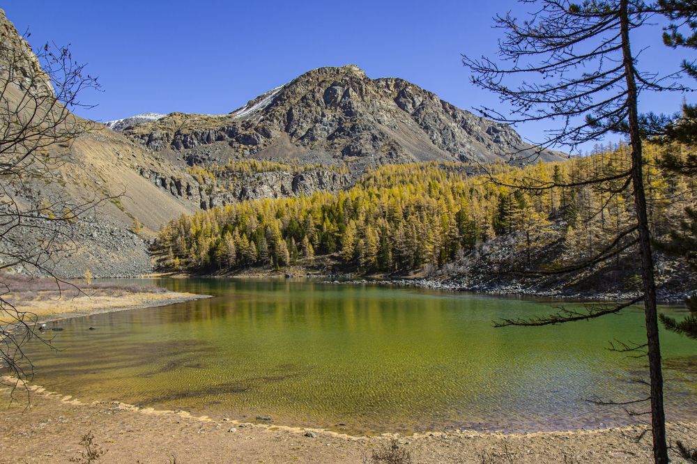 Photograph by Елена Павлова